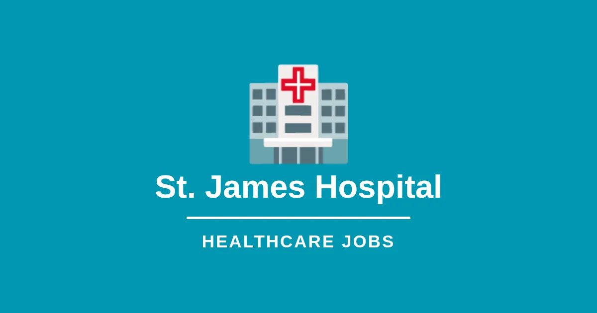 Director of Physical Performance - PT & OT